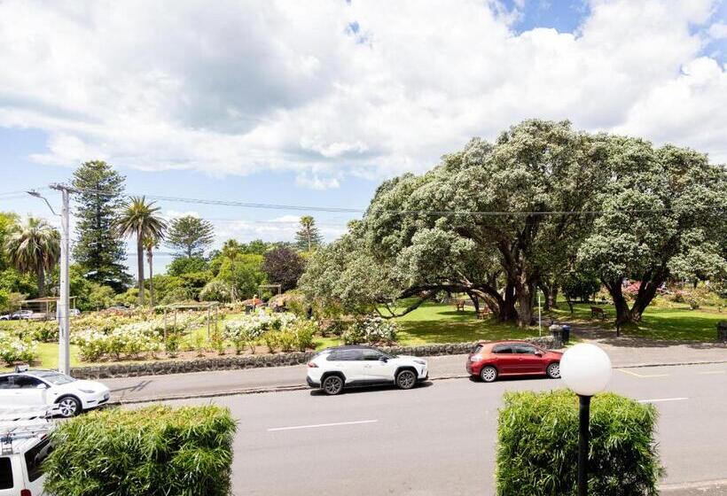 수피리어 룸, Auckland Rose Park