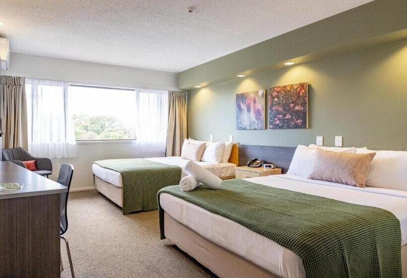 수피리어 룸, Auckland Rose Park