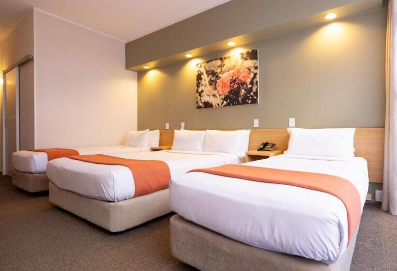 수피리어 트리플 룸, Auckland Rose Park