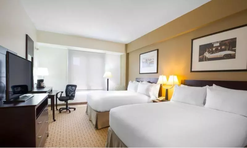 اتاق لوکس با تخت بزرگ, Hilton Rotterdam