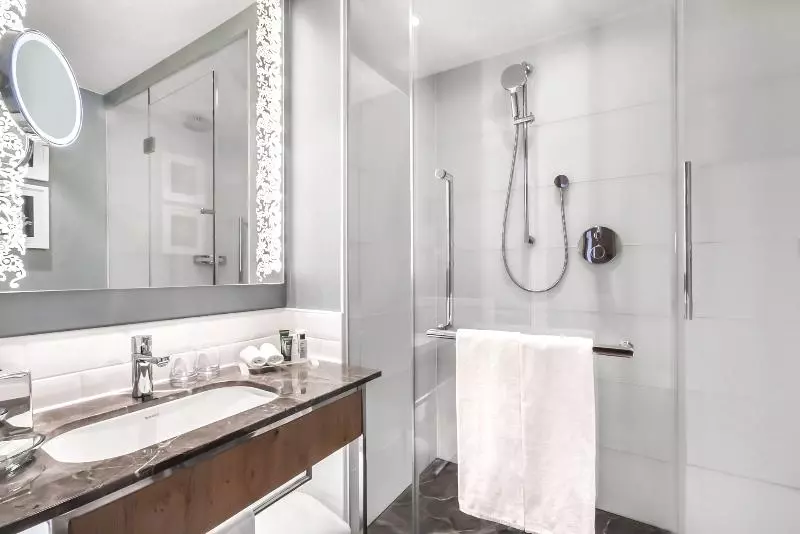 اتاق استاندارد با تخت بزرگ, Hilton Rotterdam