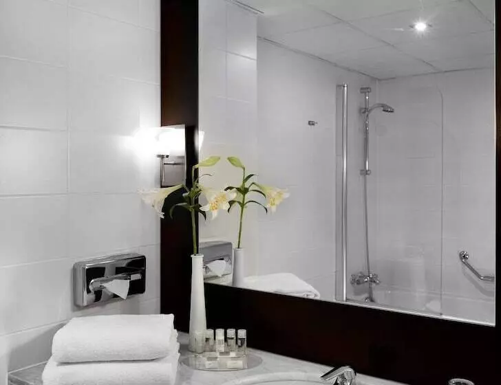 اتاق سوپریور, Park Plaza Eindhoven