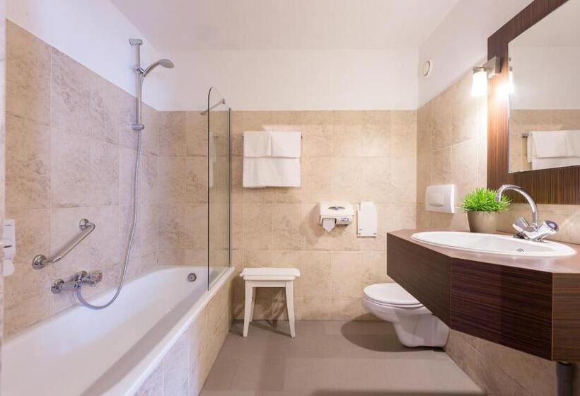 اتاق سوپریور, Schaepkens Van St Fijt