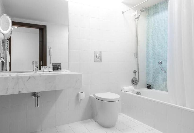 غرفة قياسية, Dom Goncalo & Spa