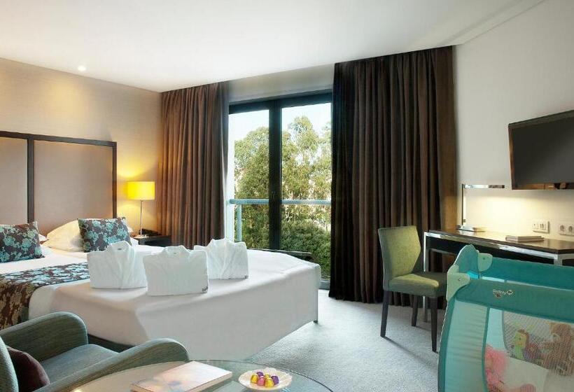 غرفة قياسية, Dom Goncalo & Spa