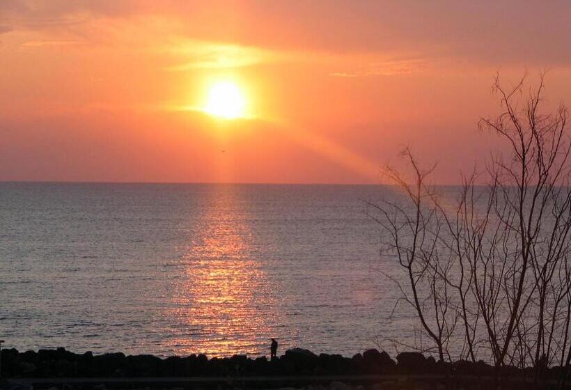 اتاق سوپریور, Cometa