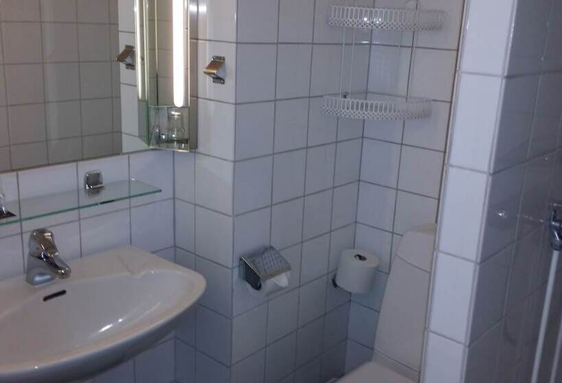 غرفة قياسية فردية, First Hotel Witt