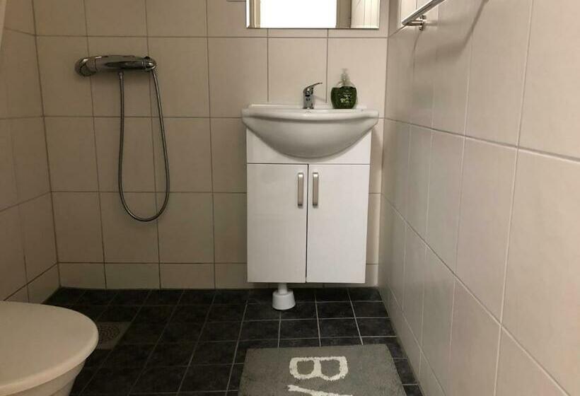 غرفة قياسية فردية, Saras Hotel Fd Amadeus