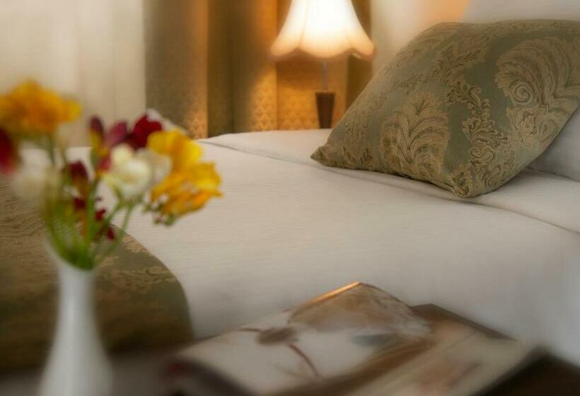 스탠다드 싱글 룸, Ani Plaza