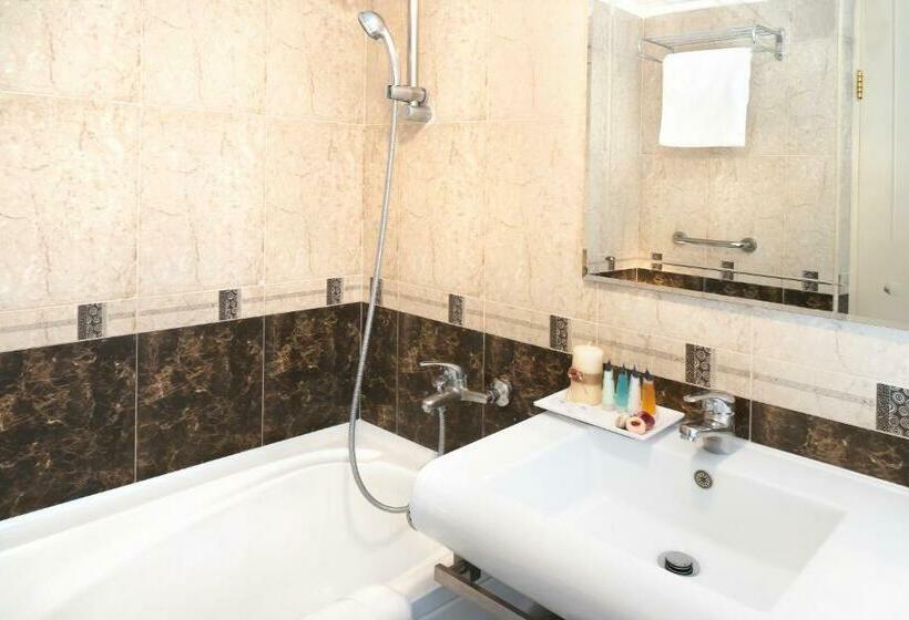 스탠다드 싱글 룸, Ani Plaza