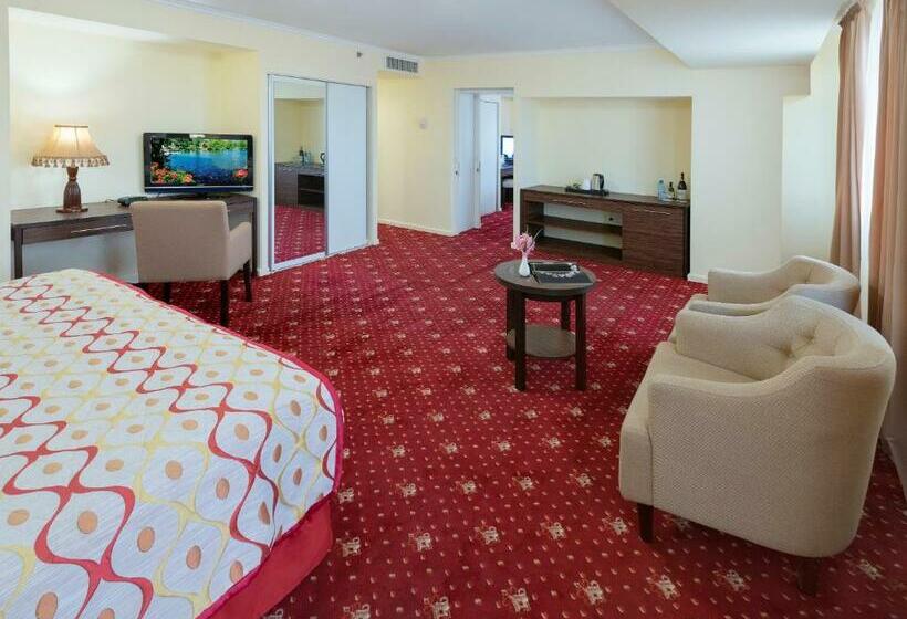 패밀리 스위트, Ani Plaza