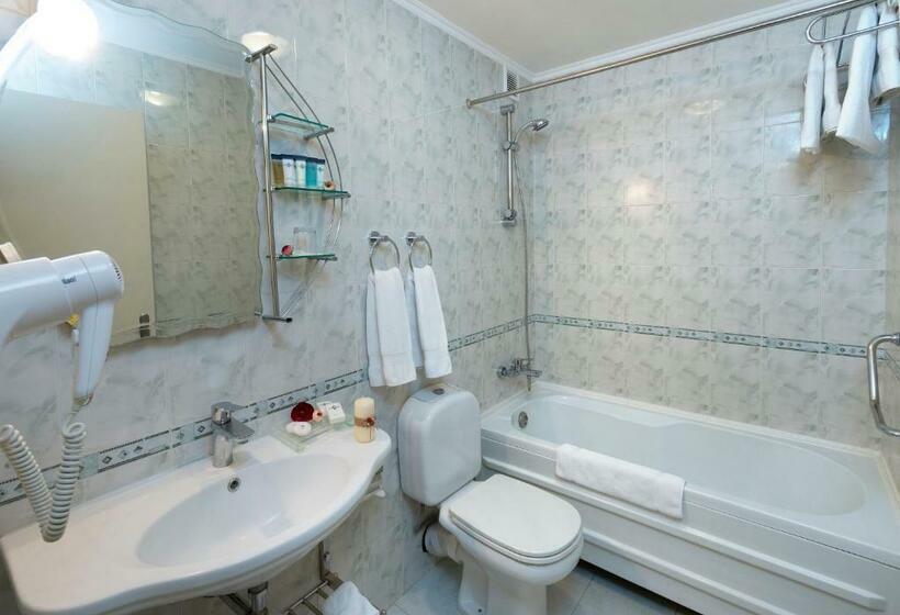 스탠다드 룸 킹사이즈 침대, Ani Plaza