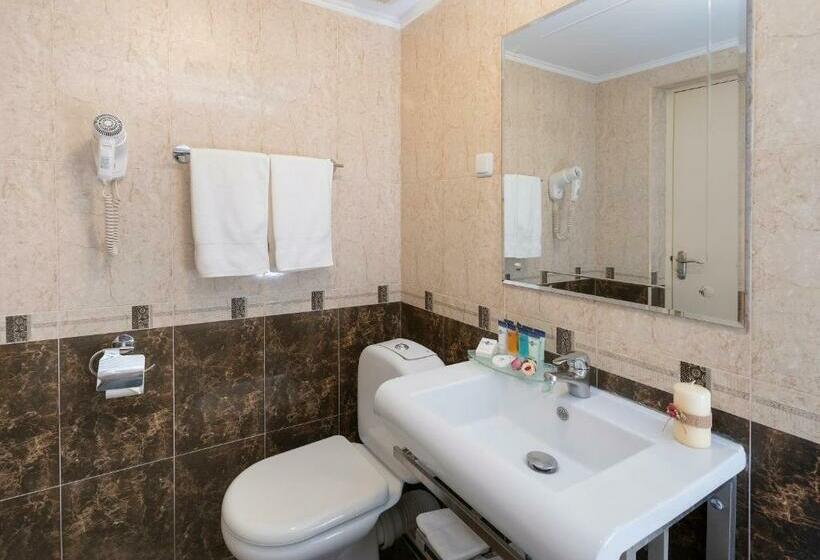 주니어 스위트, Ani Plaza