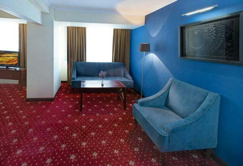 디럭스 룸, Ani Plaza