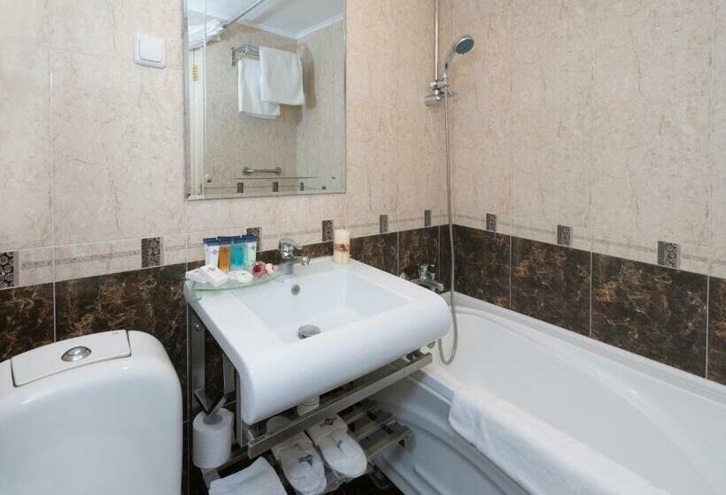 디럭스 룸, Ani Plaza