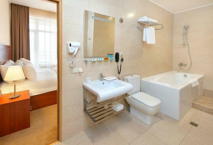 이그제큐티브 스위트, Ani Plaza