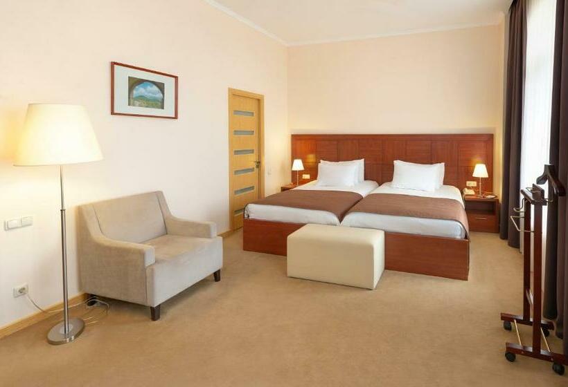 수피리어 스위트, Ani Plaza