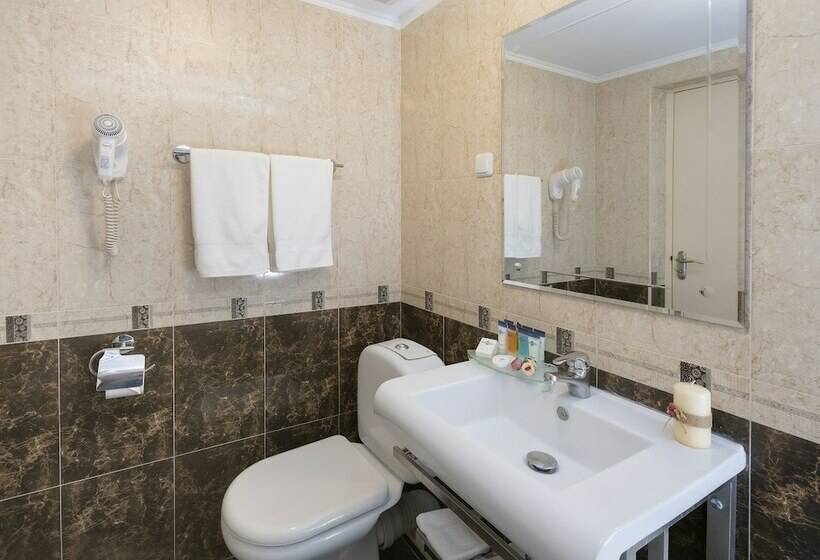 디럭스 룸, Ani Plaza