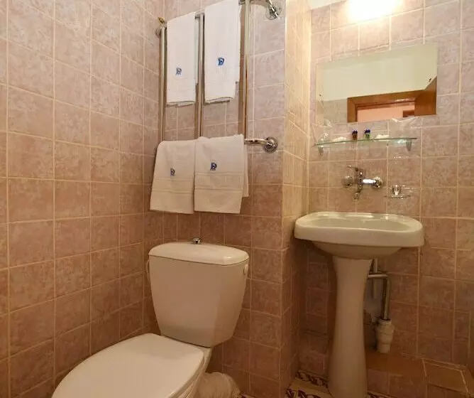 Standard Yhden Hengen Huone, Dnipro
