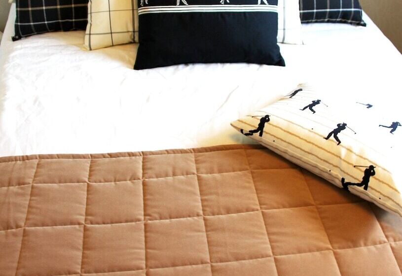 舒适型单人间, Sorsanpesa