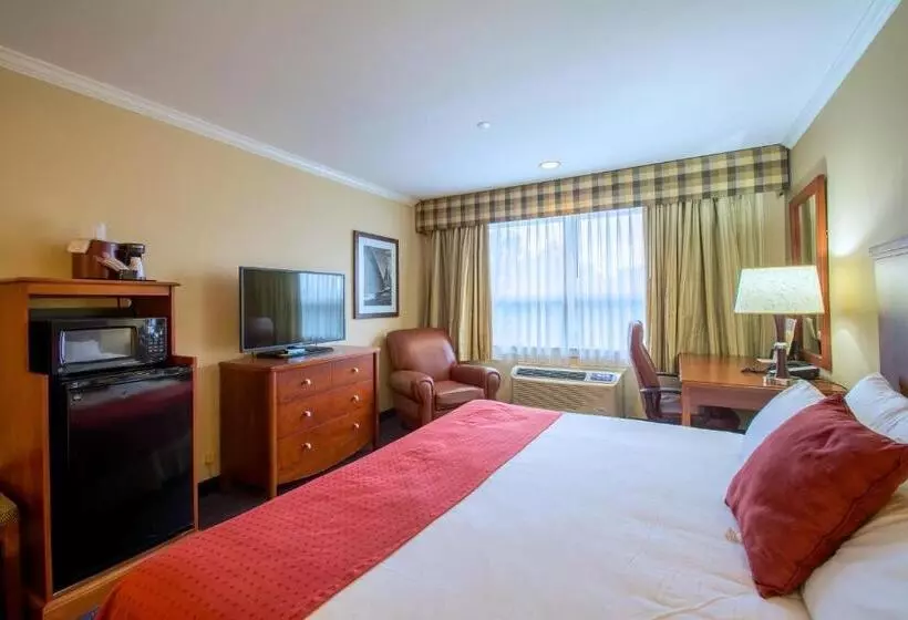 اتاق استاندارد با تخت بزرگ, Anchorage Inn And Suites