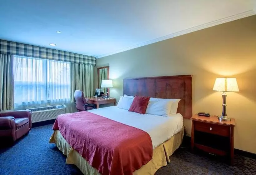 اتاق استاندارد با تخت بزرگ, Anchorage Inn And Suites