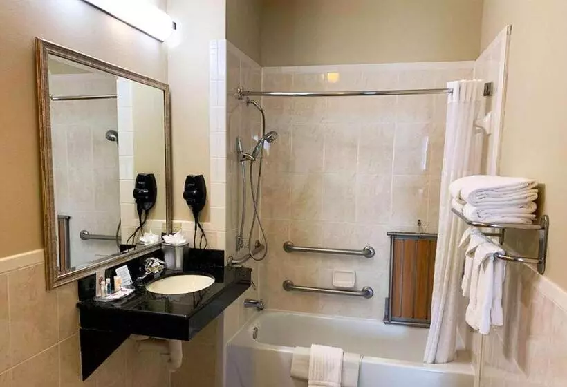 身障者適用スイートルーム, Comfort Suites Texas Ave