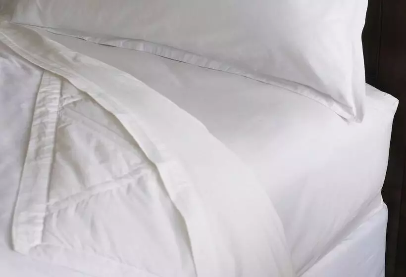 اتاق کلاب, Sheraton Cairo Hotel & Casino