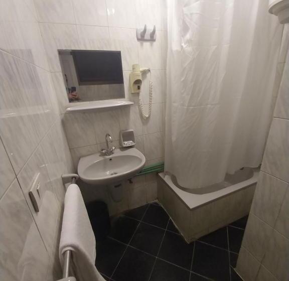 اتاق استاندارد یک نفره, The New Garden Palace