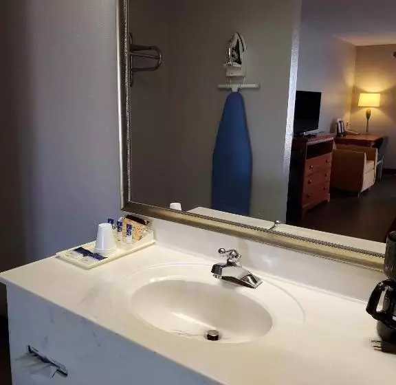 身障者適用キングサイズベッドルーム, Americas Best Value Inn Wildersville