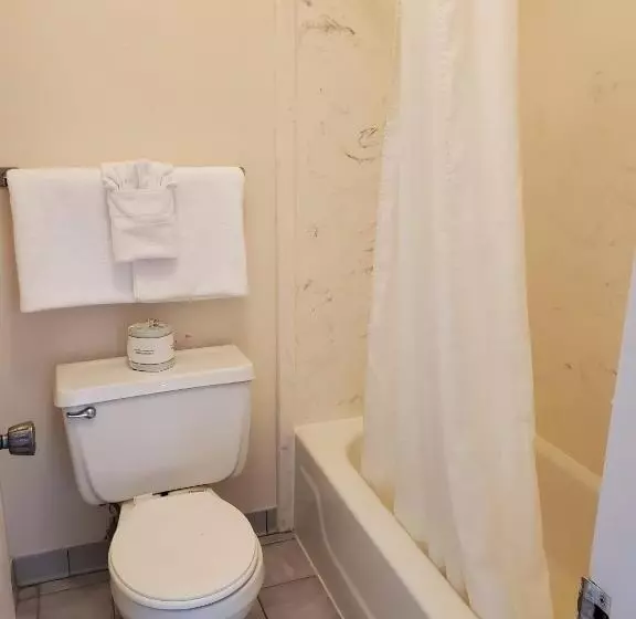 身障者適用スタンダードルーム, Americas Best Value Inn Wildersville