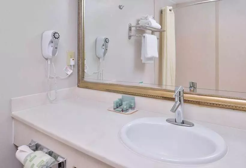 اتاق استاندارد با 2 تخت دوبل, Best Western Airpark Hotel   Los Angeles Lax Airport