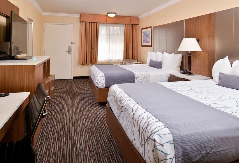 스탠다드 룸 더블 침대 2개, Best Western Airpark Hotel   Los Angeles Lax Airport