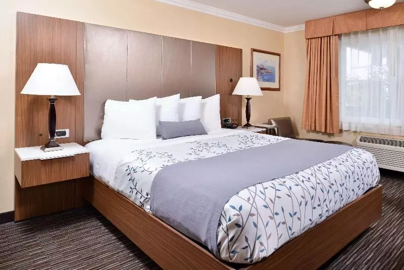 اتاق استاندارد با تخت بزرگ, Best Western Airpark Hotel   Los Angeles Lax Airport
