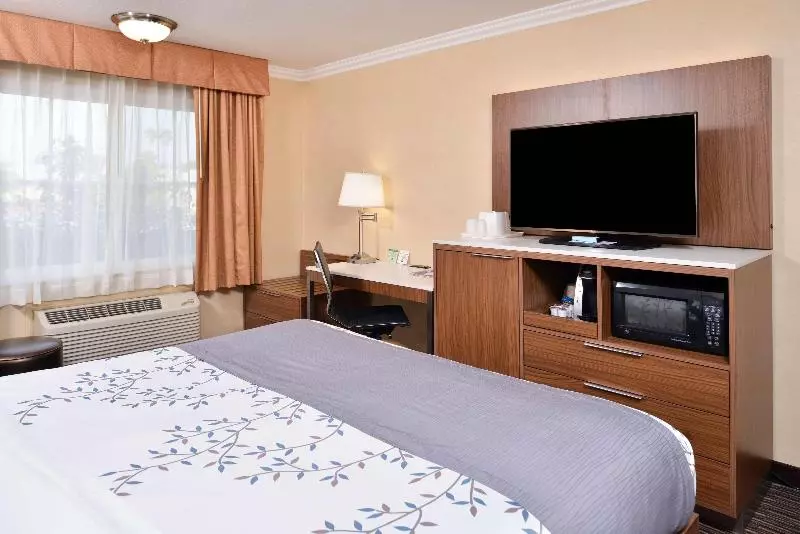 اتاق استاندارد با تخت بزرگ, Best Western Airpark Hotel   Los Angeles Lax Airport