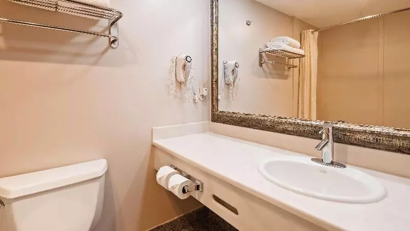 اتاق استاندارد با تخت بزرگ, Best Western Airpark Hotel   Los Angeles Lax Airport
