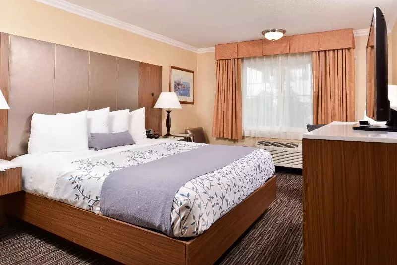 اتاق استاندارد با تخت بزرگ, Best Western Airpark Hotel   Los Angeles Lax Airport