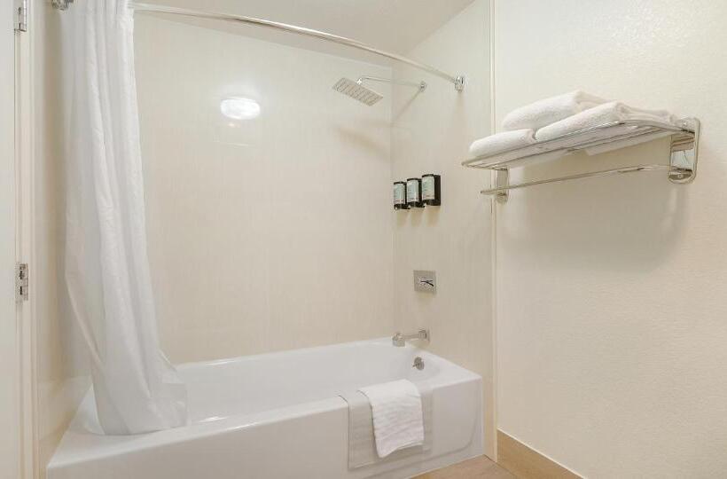 스탠다드 룸 킹사이즈 침대, Best Western Amador Inn