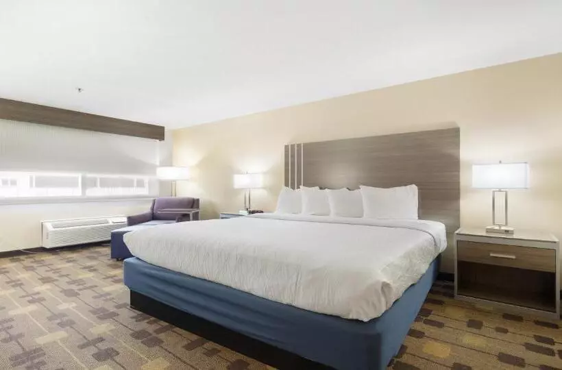 اتاق استاندارد با تخت بزرگ, Best Western Amador Inn