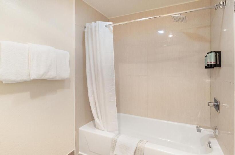 스탠다드 룸 킹사이즈 침대, Best Western Amador Inn