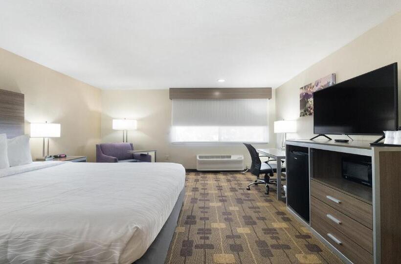 스탠다드 룸 킹사이즈 침대, Best Western Amador Inn