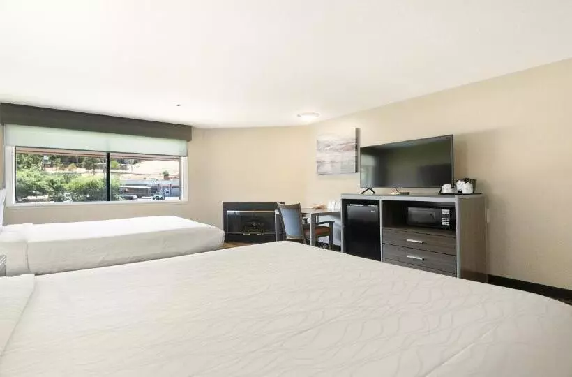 اتاق استاندارد با 2 تخت دوبل, Best Western Amador Inn