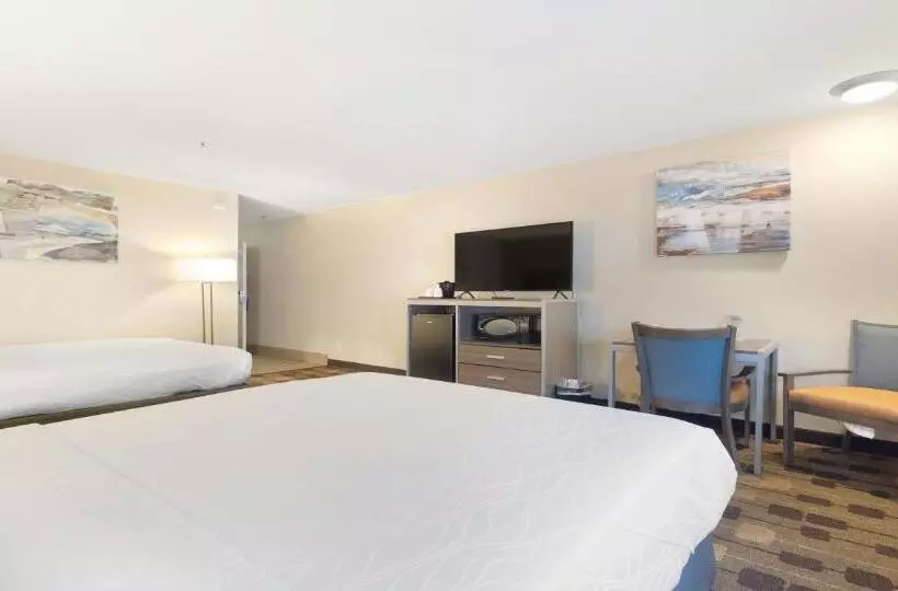 اتاق استاندارد برای معلولان, Best Western Amador Inn