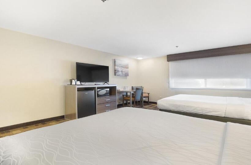 장애인을 위한 스탠다드 룸, Best Western Amador Inn