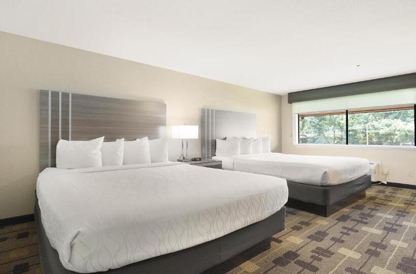 장애인을 위한 스탠다드 룸, Best Western Amador Inn