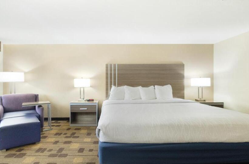 장애인을 위한 킹사이즈 침대 스탠다드 룸, Best Western Amador Inn