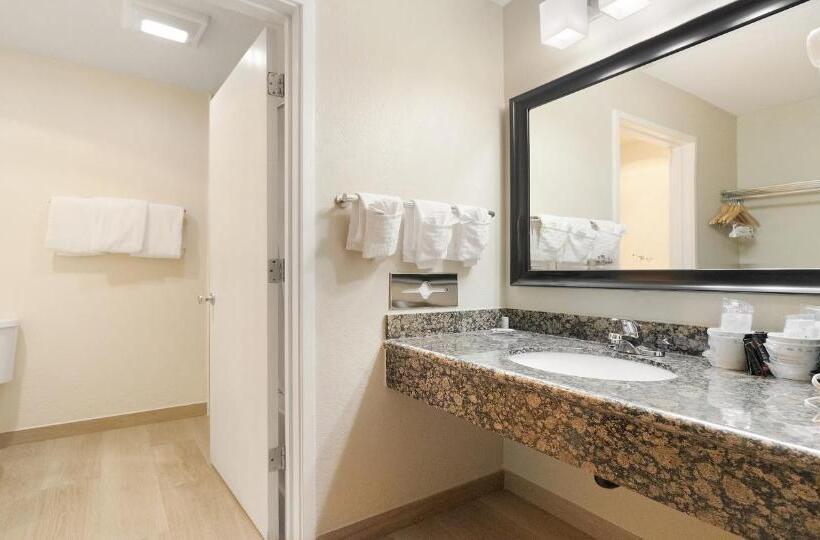 스탠다드 룸 킹사이즈 침대, Best Western Amador Inn