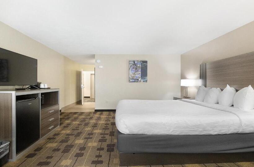 스탠다드 룸 킹사이즈 침대, Best Western Amador Inn