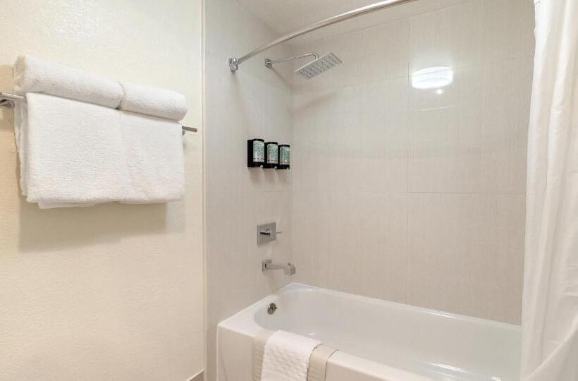 스탠다드 룸 킹사이즈 침대, Best Western Amador Inn