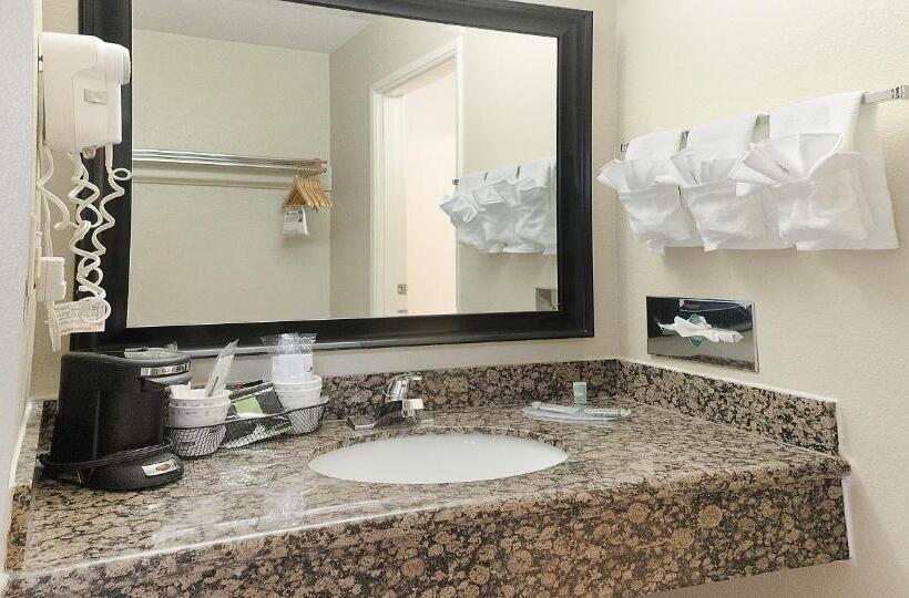 Номер Стандарт Адаптированный для Инвалидов, Best Western Amador Inn